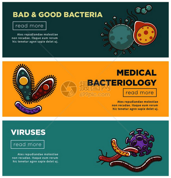 坏菌和好细有害和医学细菌信息宣传海报模板图片