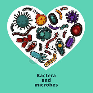 细菌和微生物心脏海报用于医学细菌或细菌微生物学研究和科的媒平板设计医疗学微生物感染细菌和微生物心脏海报医疗细菌学或院病媒平板设计图片