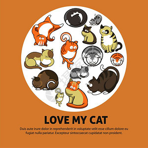 可爱宠物猫宣传海报图片