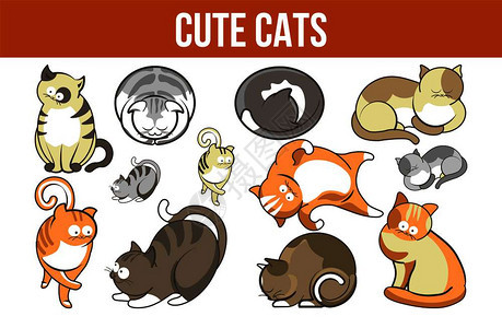 可爱的猫咪宣传海报配有长毛种可爱的动物卡通平面矢量插图图片