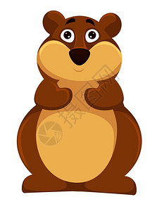 惊吓背景大羽毛仓鼠有惊吓的棕色眼睛和大眉毛老鼠家庭软毛和肥肚子的