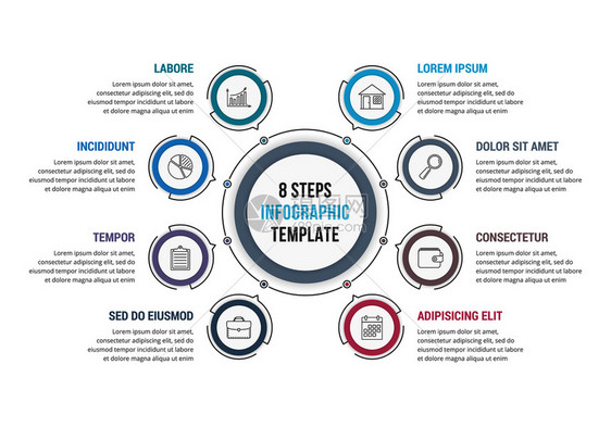 8步骤圆形信息模板工作流程或图矢量eps10插图图片