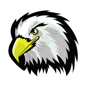 白色斑鹰北秃头纹身设计白背景上的彩虹鸟捕食者霍马斯科特自由象征白美洲北秃鹰头纹身设计图片
