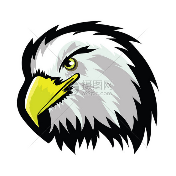 白色斑鹰北秃头纹身设计白背景上的彩虹鸟捕食者霍马斯科特自由象征白美洲北秃鹰头纹身设计图片