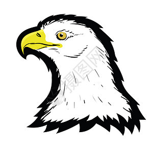 黑白的美国北部秃鹰领头纹身设计白背景上的彩虹鸟捕食者霍克马斯科特自由的象征物圣洁美国北部白鹰领头纹身设计洛戈普雷伊鸟霍克马斯科特图片