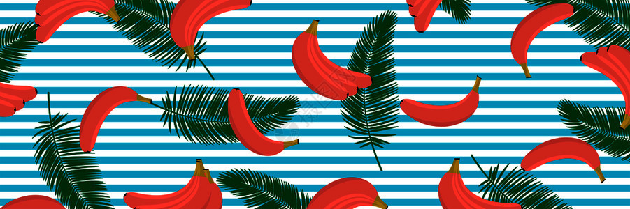香蕉和棕榈叶矢量插画背景图片