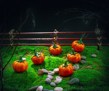 人造草地上的玩具南瓜描绘万圣节的夜间花园图片
