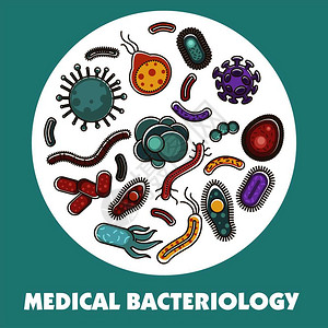 生物研究或医疗保健概念的细菌和微生物海报良病和坏毒细菌微生物信息的矢量平板设计生物研究或医疗保健概念的细菌和微生物海报图片