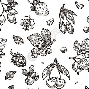 黑白手绘水果草莓和单樱桃矢量元素图片