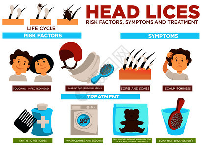 接触受感染者分享个人物品伤痛和疤痕以及头皮外合成杀虫剂和洗衣服头虱风险因素症状和治疗海报图片