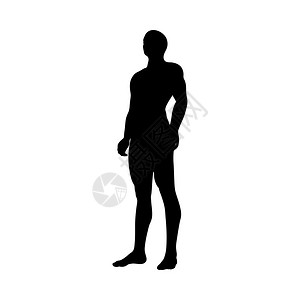 健身美女站立的男人剪影矢量插图插画