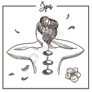 按摩石矢量将按摩热石隔离在妇女背上用于SPA皮肤护理程序或化妆品设计插画