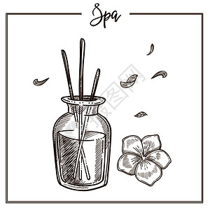 矢量在瓶中分离芳香棒配有基本芳香油和外来花朵用于SPA皮肤护理程序或化妆品产设计图片