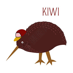公园游玩kiwi鸟以卡通滑稽可爱帽子或澳大利亚人新西兰动物园收集的