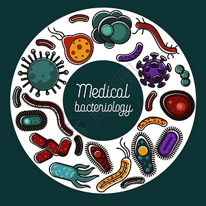 含有害生物体的医学细菌图示和给人体造成问题的物质不同类型和形状的微生物分子坏细菌病媒图示含有害生物体病媒图示的医学细菌图片