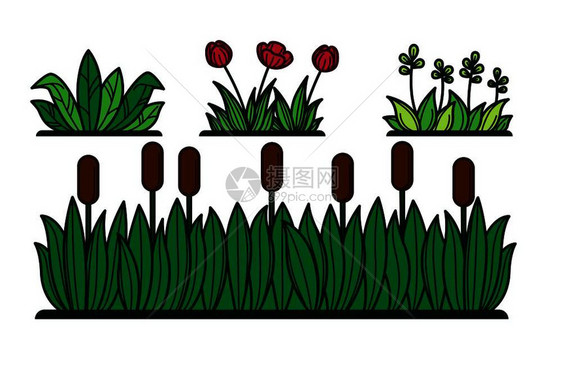绿草和花卉植物或用于装饰植物的果实矢量平板卡通花岗灌木和绿篱笆草花和叶矢量图标图片