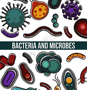生物分子和小微粒有害和用的细菌微粒和生物的形状背景图片