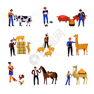 饲养牲畜的人牛兔子猪羊用马鸡骆驼和饲料喂牛养的男女饲羊或山的男女养牛饲兔子或猪和羊山饲养和图片