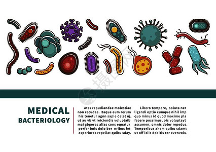 和细菌信息海报用于医学保健信息或细菌科疾或细菌感染预防和生物学研究的病媒公寓设计毒和细菌信息海报用于医学保健信息或细菌科图片