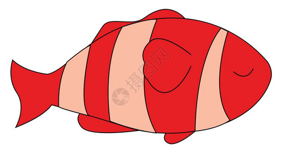 动物凶猛小丑鱼睡觉插图白底矢量插画