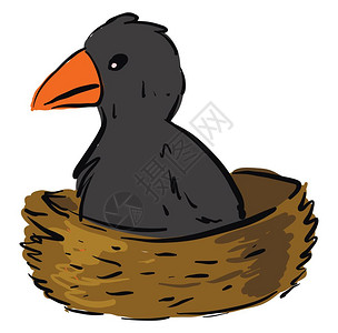 乌鸦,蜂巢中的婴儿乌鸦插图白色背景的矢量插画