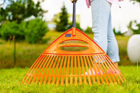 成年女在后院用雷克工具在草坪上放牧从宽角度看妇女利用雷克清理花园草坪图片