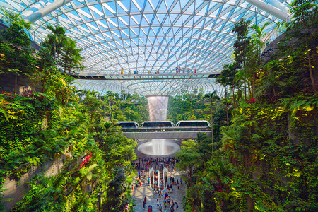 涡流新加坡城JewelChangi机场室内设计装饰瀑布花园和树木背景