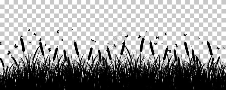 蝴蝶草原背景透明网格设计矢量说明图片