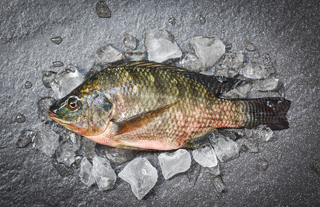 蒂拉皮亚鱼淡水用于在亚斯餐馆黑板底冰面上的鲜生罗非鱼做饭图片