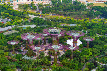 中午12点在新加坡市下城的MarinaBay区海湾旁的花园中风景背图片