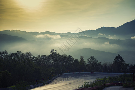 山上森林雾与弯曲道路下山坡戏剧曲线美丽的天空云早晨和农村路边的木树图片