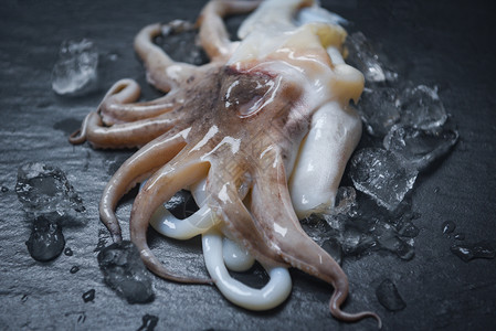冰上新鲜章鱼海食鱿新鲜章海洋美食原生乌贼餐厅内深底有冰图片