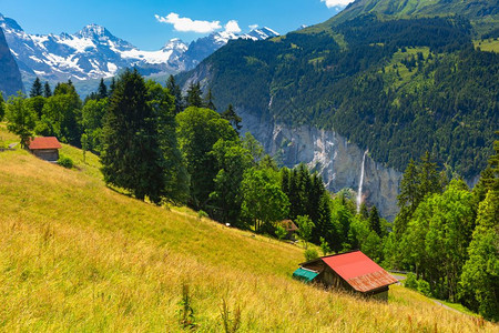 瑞士伯尔尼斯奥兰Wengen山村附近的孤家寡屋图片
