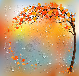 秋天背景树多彩的叶子和雨滴矢量图片