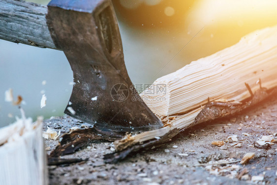 尖斧正在砍木头做火拍近照日光图片