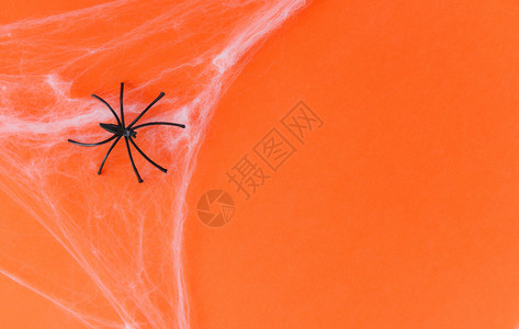 蜘蛛网和橙装饰上黑蜘蛛的万圣节背景为派对配件物概念欢庆节日图片