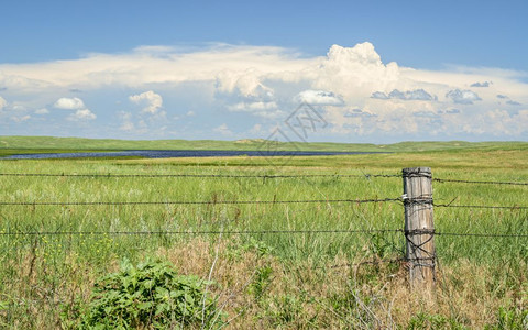内布拉斯加沙丘的农村地貌有牛篱笆并形成积云图片