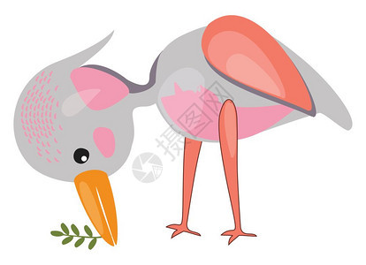 灰鸟有桃翼粉色斑点长嘴有植物短尾矢量彩色画或插图图片
