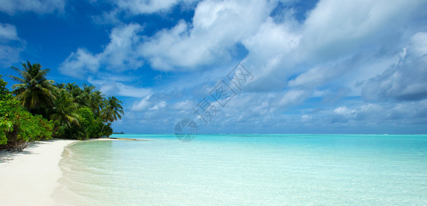 具有海滩蓝天空的美丽热带马尔代夫岛图片