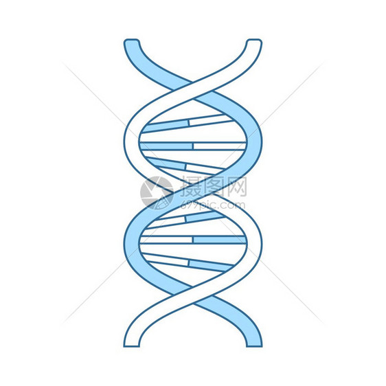 DNA蓝色填充设计薄线矢量说明图片