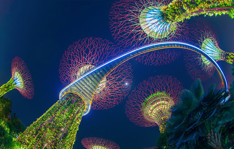 超级树林园晚上在新加坡市下城区MarinaBay区的海湾花园或户外人工植树图片