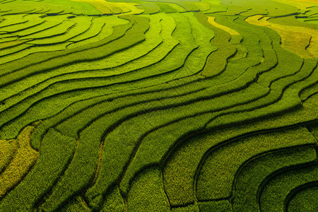 稻田梯MuCangChai农村或地区YenBai越南东亚夏季山谷自然景观背图片
