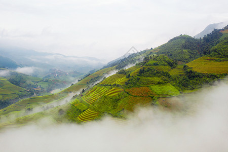 稻田梯MuCangChai农村或地区YenBai越南东亚夏季山谷自然景观背图片