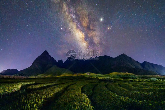 夏日的芬西潘山谷有牛奶和稻田夜间农越南萨帕自然景观背图片