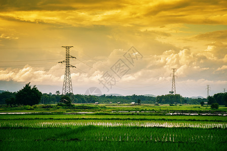 具有电杆高压和山顶日落背景的土地观绿稻田图片