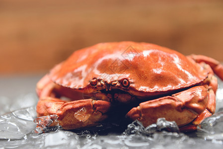 冰上的螃蟹关闭海鲜餐厅蒸的石蟹图片