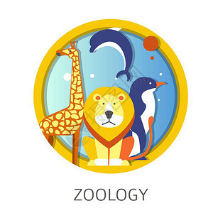 动物和病媒的学校科研究野生动物老虎长颈鹿企鹅和海豚水生物的热带代表水和陆地物种教育动和学校科研究动物和图片