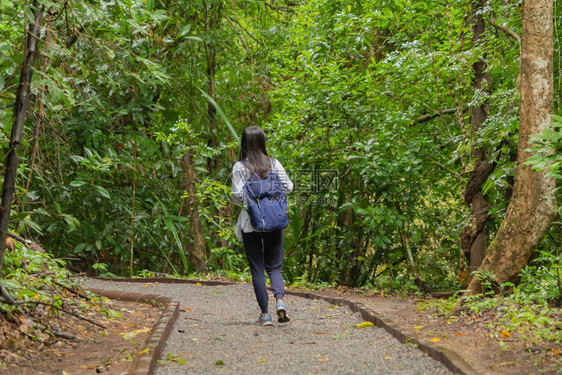 快乐的亚洲妇女在泰国坎沙纳布里家公园旅行和户外度假时在热带森林中放松和享受树木图片