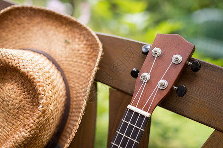 Ukulele夏天在木制公园长椅上在模糊背景的绿地上图片