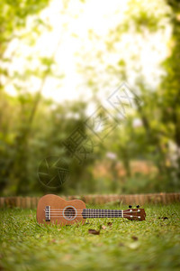 Ukulele躺在绿色的草地上模糊公园区在背景中图片